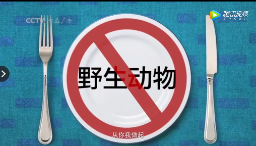 敬畏自然，尊重生命！央视这支公益广告值得刷屏