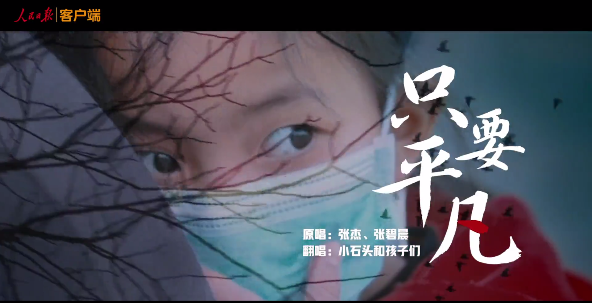 只要平凡！2020最动人的MV来了