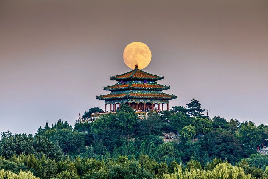 中华民族的瑰宝胜过我们的一切