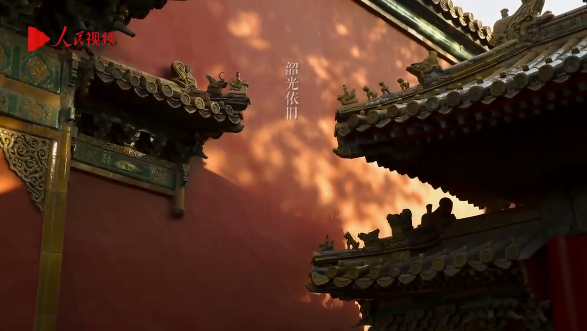 故宫的每一个角落，都温柔的像一幅画
