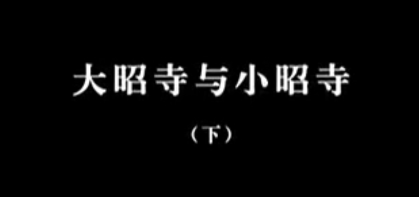 【佛教大型纪录片】《千年菩提路》 第二十集 大昭寺与小昭寺(下)