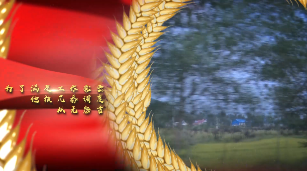 中储粮守护人系列&mdash;&mdash;粮仓的守护者 王贯军 02